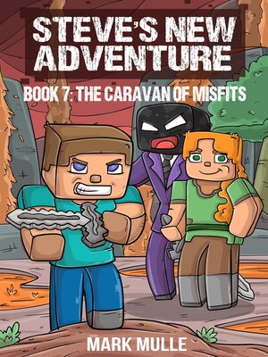 cover image of Steve's New Adventure Book 7